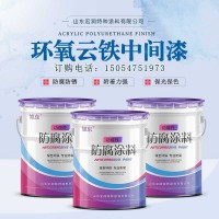 钢结构环氧云铁中间漆 防腐涂料