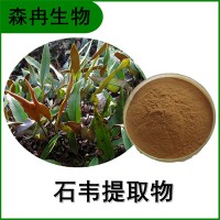 森冉生物 石韦提取物 石兰提取物 比例提取原料粉