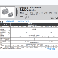SSD2-L-50-40-T0H-D，CKD气缸