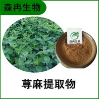 森冉生物 荨麻提取物 蜇人草提取物 比例提取原料粉