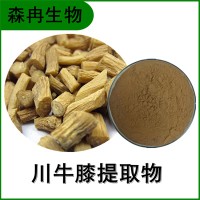 森冉生物 牛膝提取物 怀牛膝提取物 比例提取原料粉