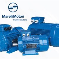 意大利Marelli Motori异步发电机