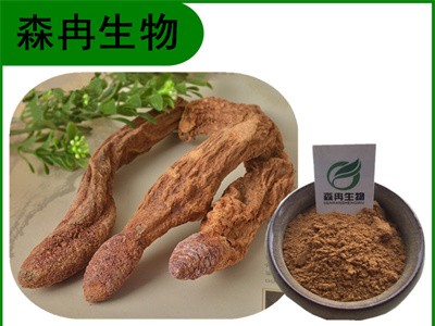 森冉生物 锁阳提取物 地毛球提取物 比例提取原料粉